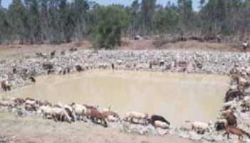 Water Conservation Programme